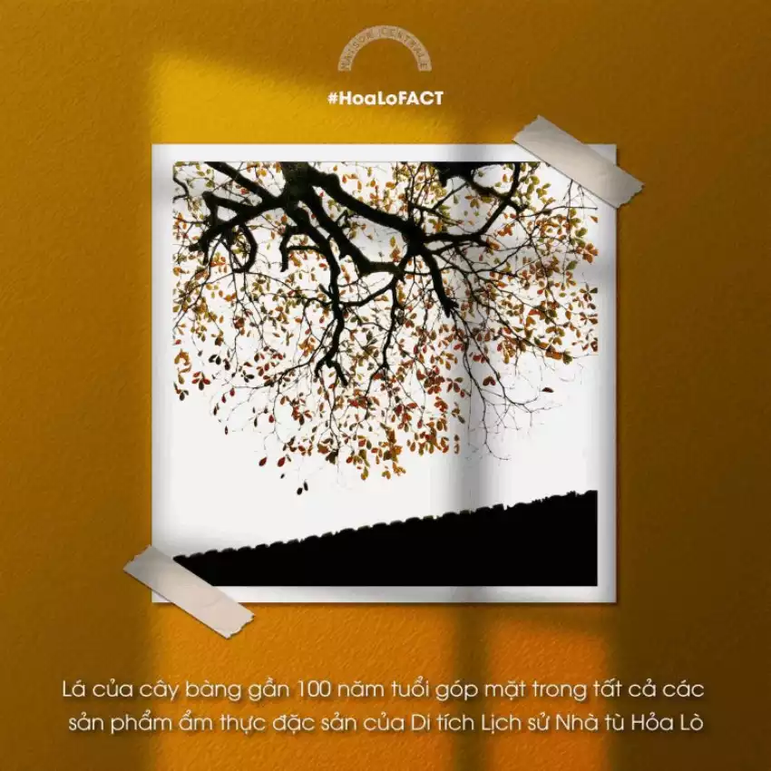 Di tích nhà tù Hỏa Lò - Hoa Lo prison relic Di tích nhà tù Hỏa Lò - Hoa Lo prison relic