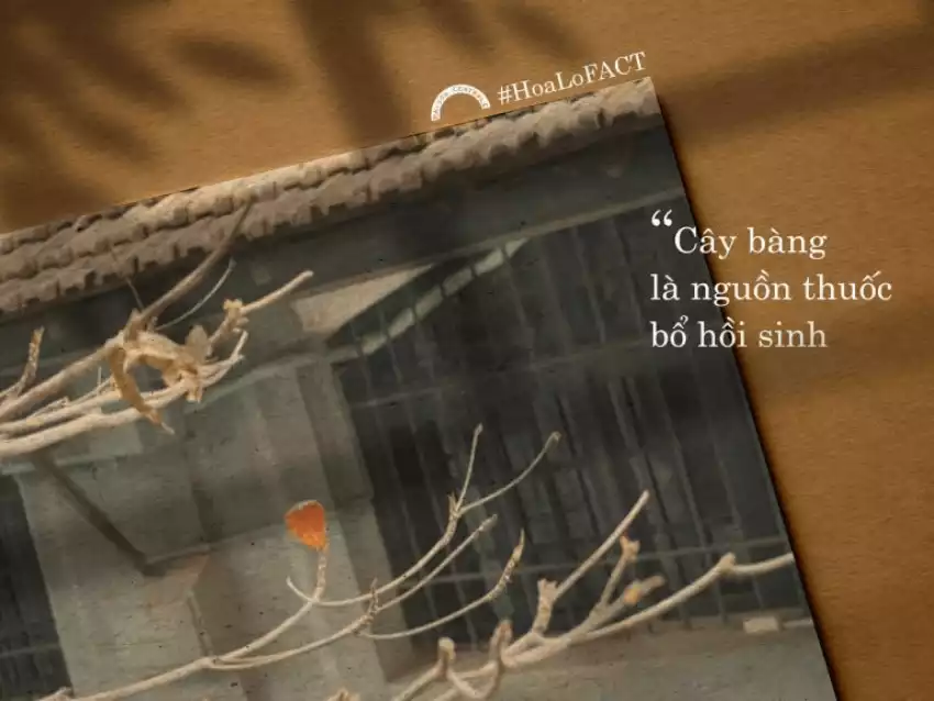 Di tích nhà tù Hỏa Lò - Hoa Lo prison relic Di tích nhà tù Hỏa Lò - Hoa Lo prison relic