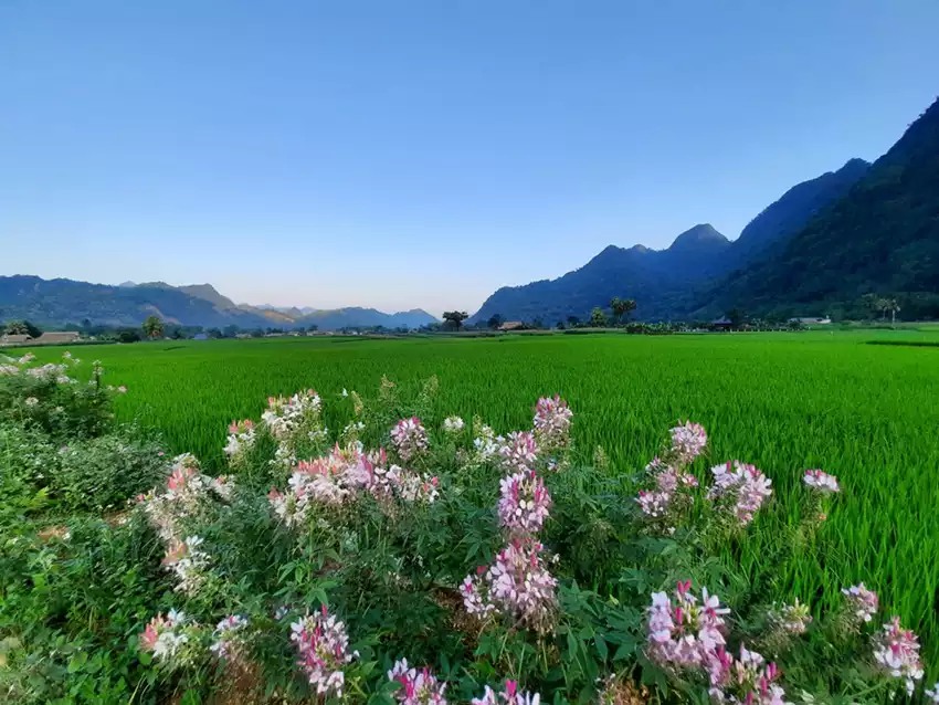 Lâm Thượng Lâm Thượng