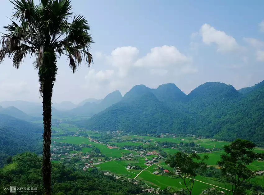 Lâm Thượng Lâm Thượng