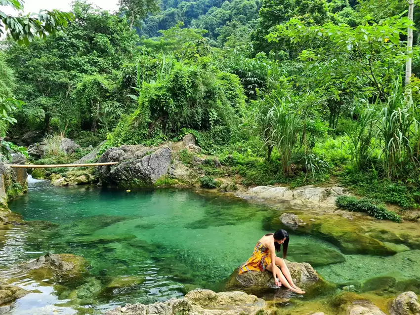 Lâm Thượng Lâm Thượng