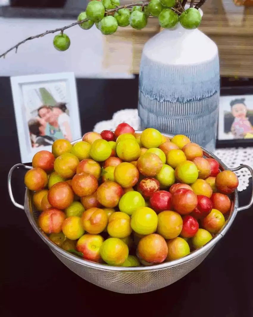 Mộc Châu đẹp vô tận trong mắt người Sài Gòn Mộc Châu đẹp vô tận trong mắt người Sài Gòn