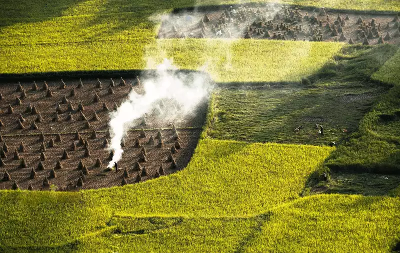 ruộng bậc thang hoàng su phì ruộng bậc thang hoàng su phì