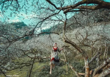 thien duong co tich o thung lung mu nau moc chau14