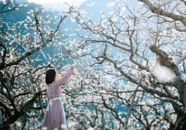 Thiên đường cổ tích có thật tại thung lũng Mu Náu Mộc Châu