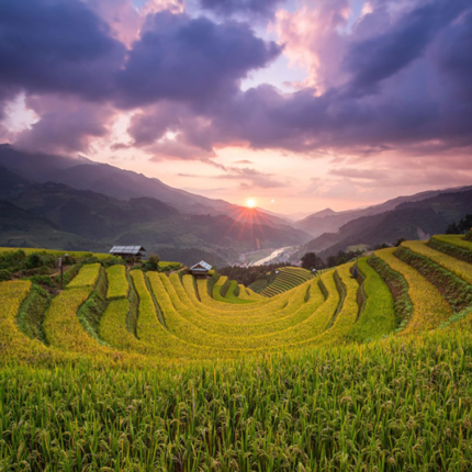 Tour Tây Bắc 7 Ruộng bậc thang Mù Cang Chải